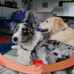 Wanda Marshall - @wanda.marshall.06051964 - Instagram