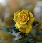 Wanda Marshall - Facebook