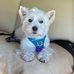 Wanda Martell - Facebook