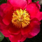 Wanda Eaton Mast - @wanda.mast - Instagram