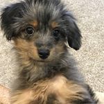 Wanda May - @wanda_may - Instagram