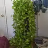 Wanda McCarty - @wanda.mccarty - TikTok