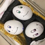 Maximus, Cosmo, and Wanda - @mccubbingeggfamily - Instagram