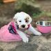 Wendy Mckibbin - Facebook