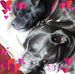 Wanda McElroy - Facebook
