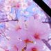 Wanda Mcfall - Facebook