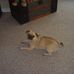 Wanda McGee - Facebook
