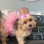 Wanda McGrath - @wandam21 - Instagram