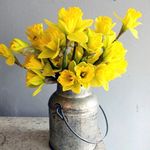 Wanda Cull Mcgraw - @wandacull - Instagram