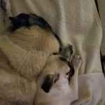 Wanda McGraw - @curlietails2 - Instagram