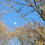Wanda McGraw - @wyrrdwf - Instagram