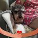Wanda Mcgraw - Facebook