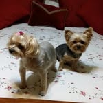 Wanda McHenry Reeves - @wanda.reeves.6587 - Instagram