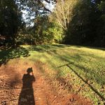 Wanda McIntyre - @wanda.mcintyre.522 - Instagram