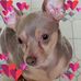 Wanda McKee - Facebook