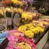 손은서 - @wandamckeeiagkivv - TikTok