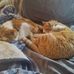 Wanda McKinney - Facebook