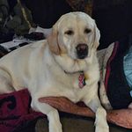 Wanda McKinney - @mckwa2014 - Instagram