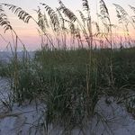Wanda McKinnon Retzel - @wretzel2019 - Instagram