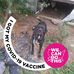 Wanda Mclendon - Facebook