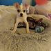 Wanda Mcqueen - Facebook