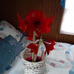 Wanda McWhorter - @wanda_mcwhorter_ - Instagram