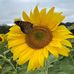Wendy Mcwhorter - Facebook
