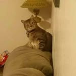 Wanda Medlin - @medlinw - Instagram