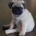 Wanda Lynn - Facebook