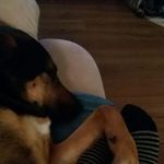 Wanda Metz - @metz8135 - Instagram