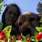 Wanda Milani - @wanda.milani.7 - Instagram