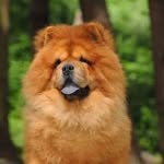 Wanda Ming - @wanda.ming.39 - Instagram