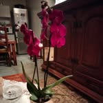 Morel Wanda - @wandamorel78 - Instagram
