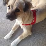 Wanda Moreno - @wandamoreno57 - Instagram