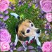 Wanda Morley - Facebook