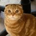 Wanda Morley - Facebook