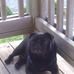Wanda Morse - Facebook