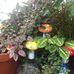 Wanda Morse - Facebook