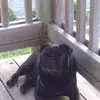 Wanda Morse - @wanda.morse46 - TikTok