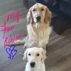 Wanda Moss - @wanda.moss30 - TikTok