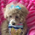 Wanda Mroz - @wanda.mroz.79 - Instagram