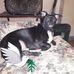 Wanda Mann - Facebook