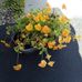 Wanda Murdock - Facebook