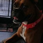 Wanda Murrell Laney - @wandalaney - Instagram