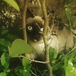 Wanda Narvaez Piñeros - @wandacat.519 - Instagram