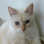 Wanda Navedo - @wandanavedo - Instagram