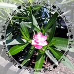 Wanda Needham - @wandakneedham - Instagram