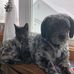 Wanda Nephew - Facebook