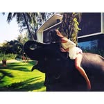 Wanda Newcomb - @trinuswillab108 - Instagram