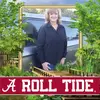 Wanda Norrell - @wanda.norrell - TikTok